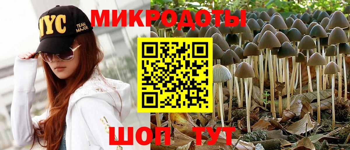 Галлюциногенные грибы Cubensis  Вход с VPN  Ступино 