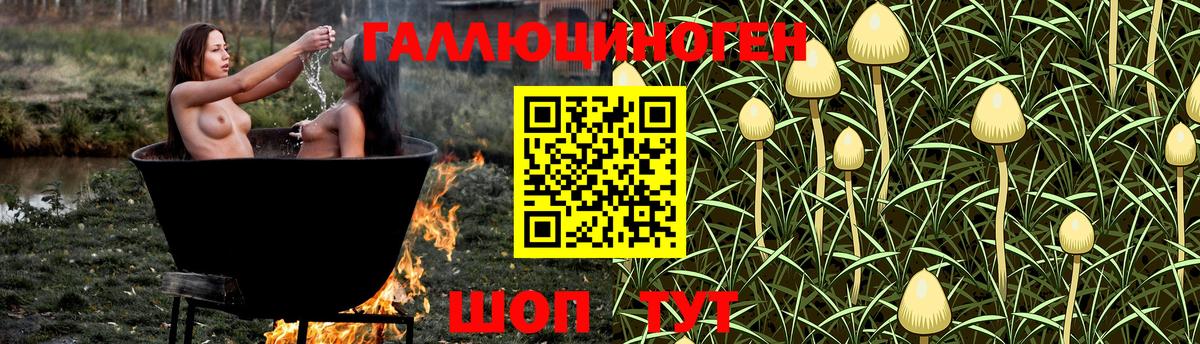 Галлюциногенные грибы мицелий Ступино